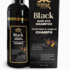 Eternal Black Hair Dye Shampoo